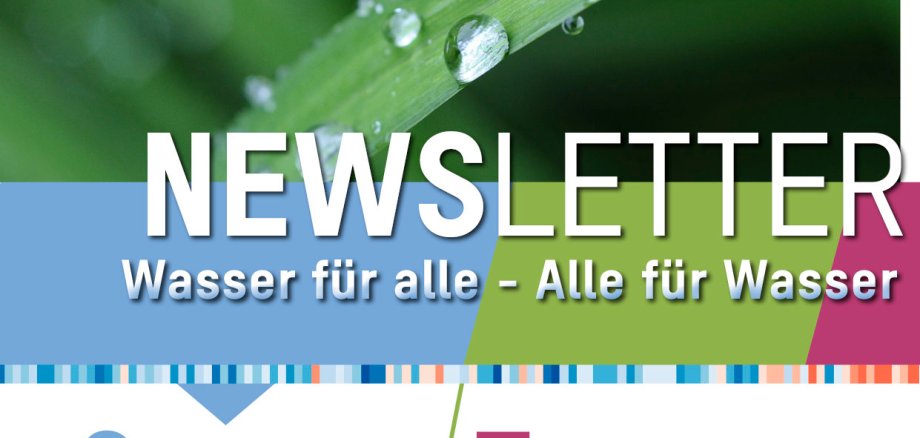 Das Wort "Newsletter" in großen weißen Lettern vor dem Hintergrund einer Pflanze mit Wassertropfen. 